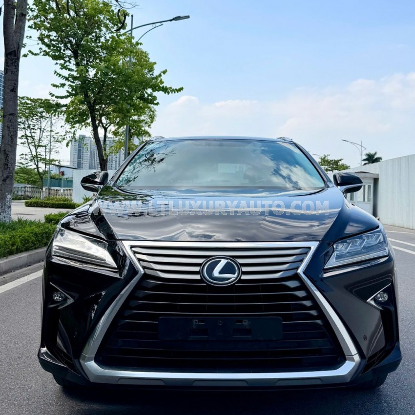 Xe Lexus RX 300 2018