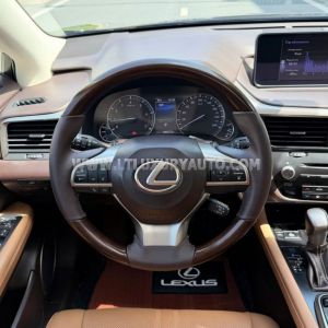 Xe Lexus RX 300 2018