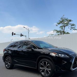 Xe Lexus RX 300 2018