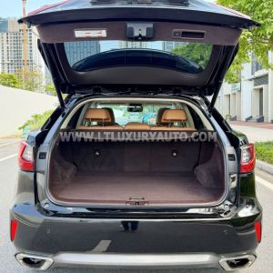 Xe Lexus RX 300 2018