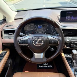 Xe Lexus RX 300 2018