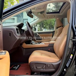 Xe Lexus RX 300 2018