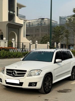 Xe Mercedes Benz GLK Class GLK300 4Matic 2010