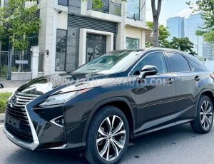 Xe Lexus RX 300 2018