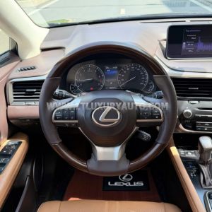 Xe Lexus RX 300 2018