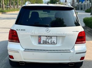 Xe Mercedes Benz GLK Class 300 4Matic 2010